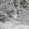 Polska - Zakopane - Dolina Strążyska