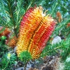 Australia - Góry Grampians - część południowa