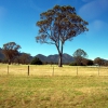 Zdjęcie z Australii - Gory Grampians