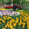 Zdjęcie z Holandii - Ogród Keukenhof.