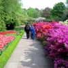 Zdjęcie z Holandii - Ogród Keukenhof.