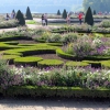 Zdjęcie z Francji - Wersalskie ogrody.