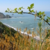 Zdjęcie ze Stanów Zjednoczonych - Enderts Beach.