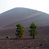 Zdjęcie ze Stanów Zjednoczonych - Cinder Cone Trail.