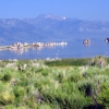 Zdjęcie ze Stanów Zjednoczonych - Mono Lake - Tufa South.