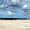 Zdjęcie z Polski - Plaża przy Łebskich...