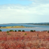 Zdjęcie z Australii - Coorong National Park