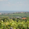 Francja - Riquewihr i okolice