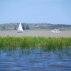 Zdjęcie z Australii - Rzeka Murray River...