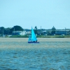 Zdjęcie z Australii - Murray River w Goolwa