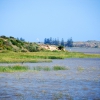 Zdjęcie z Australii - Brzegi Murray River