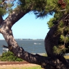 Zdjęcie z Australii - Murray River w Goolwa