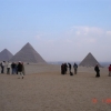 Zdjęcie z Egiptu - Giza