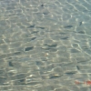 Zdjęcie z Egiptu - Hurghada