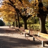 Zdjęcie z Polski - Planty - park miejski.