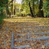 Zdjęcie z Polski - Planty - park miejski.