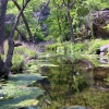 Zdjęcie ze Stanów Zjednoczonych - Colorado Bend SP