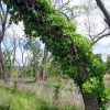 Zdjęcie ze Stanów Zjednoczonych - Colorado Bend SP