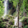 Zdjęcie ze Stanów Zjednoczonych - Gorman Falls Preserve