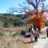 Zdjęcie ze Stanów Zjednoczonych - Lost Maples SP.