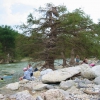 Zdjęcie ze Stanów Zjednoczonych - Pedernales Falls SP.