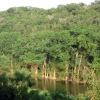 Zdjęcie ze Stanów Zjednoczonych - Pedernales Falls SP.