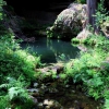 Zdjęcie ze Stanów Zjednoczonych - Westcave Preserve.