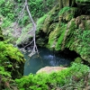 Zdjęcie ze Stanów Zjednoczonych - Westcave Preserve.