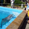 Zdjęcie ze Stanów Zjednoczonych - Seaworld...