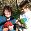 Zdjęcie ze Stanów Zjednoczonych - Seaworld parrots.