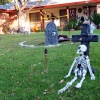 Zdjęcie ze Stanów Zjednoczonych - Przed Halloween...