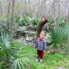 Zdjęcie ze Stanów Zjednoczonych - Palmetto SP.