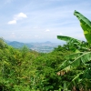 Zdjęcie z Tajlandii - Panorama Phuket...