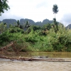 Zdjęcie z Tajlandii - Dzungla w Khao Sok