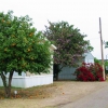 Zdjęcie ze Stanów Zjednoczonych - Brownsville, RV park.