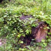 Zdjęcie ze Stanów Zjednoczonych - Natura jest szybka.