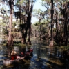 Zdjęcie ze Stanów Zjednoczonych - Caddo Lake.