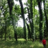 Zdjęcie ze Stanów Zjednoczonych - Kemping pod Houston.