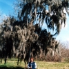 Zdjęcie ze Stanów Zjednoczonych - Brazos Bend SP.
