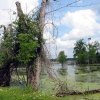 Zdjęcie ze Stanów Zjednoczonych - Brazos Bend SP.