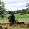Zdjęcie z Australii - Farma posrod lasow