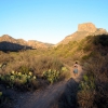 Zdjęcie ze Stanów Zjednoczonych - Big Bend NP.