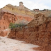 Zdjęcie ze Stanów Zjednoczonych - Palo Duro SP.