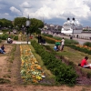 Zdjęcie z Francji - BORDEAUX
