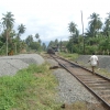 Zdjęcie ze Sri Lanki - Chodzenie po torach