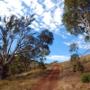 Zdjęcie z Australii - Dolina rzeki Onkaparinga