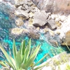Zdjęcie z Malty - Blue Grotto