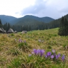 Polska - Zakopane Dolina Kościeliska i Chochołowska