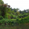 Zdjęcie z Tajlandii - Brzegi rzeki Sok River