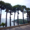 Zdjęcie z Tajlandii - Na wyspie Phuket